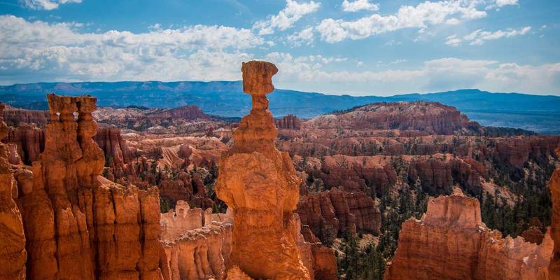 从视觉叙事到情感共鸣：三大创意设计案例深度解析艺术创作与插画的力量