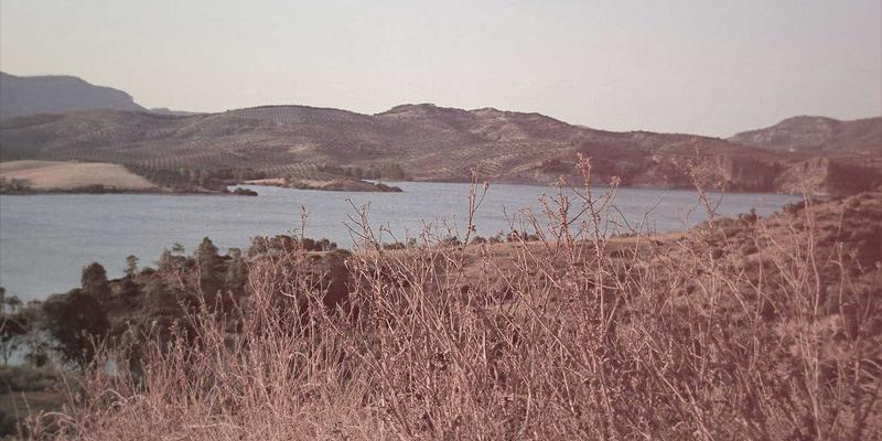 创意设计14：艺术创作、手工艺与插画的融合新生