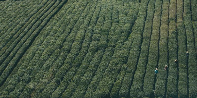 创意设计21：艺术创作与插画如何重塑当代视觉叙事