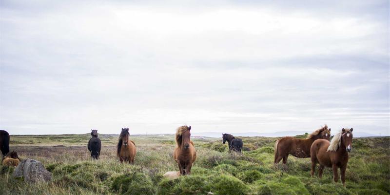 创意设计23：当复古风格遇见现代艺术创作