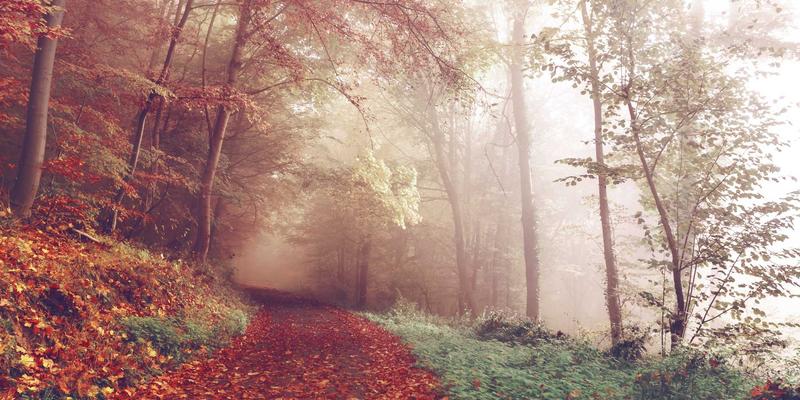 创意设计33：当绿色主题设计邂逅手工艺的无限可能