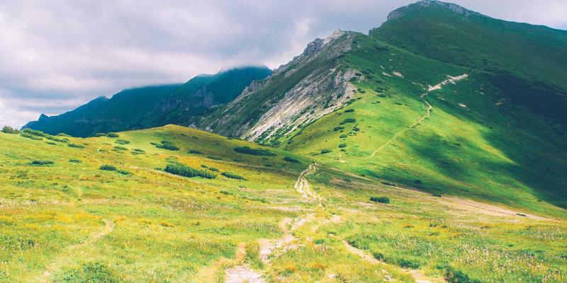 创意设计47:当复古风格邂逅绿色主题,手工艺如何重塑现代美学