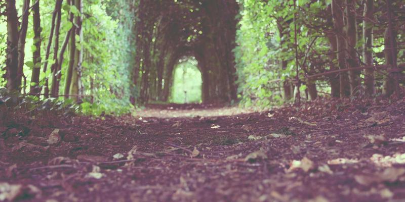 创意设计51:视觉艺术与平面设计的融合与创新