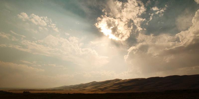 创意设计58:绿色主题设计与视觉艺术的生态共鸣