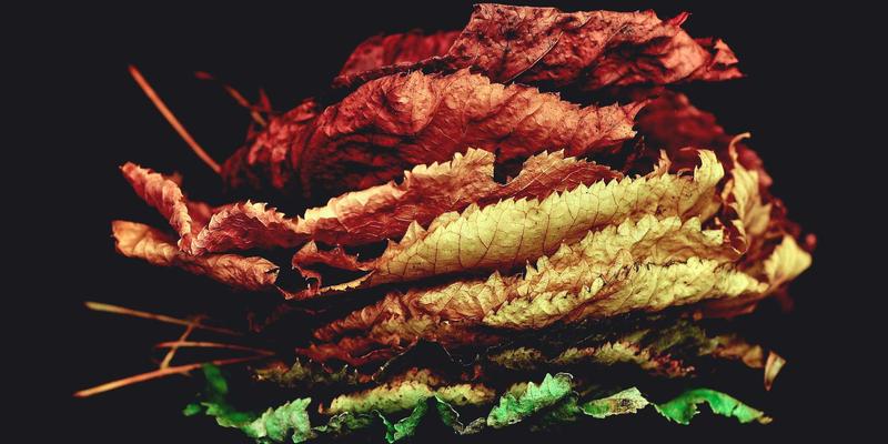 创意设计86：当复古风格插画唤醒艺术创作的新维度