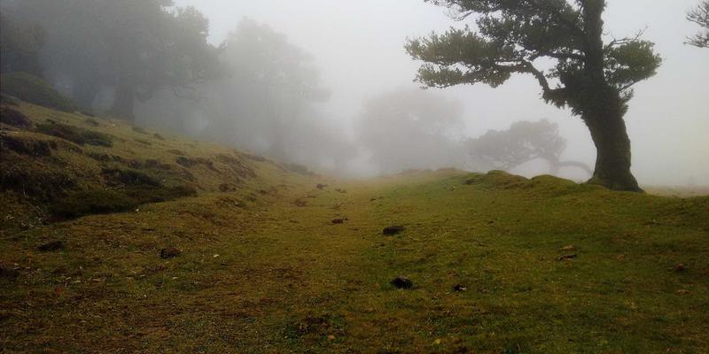 创意设计与视觉艺术的革命：生物仿生设计如何从自然中汲取灵感解决人类设计难题