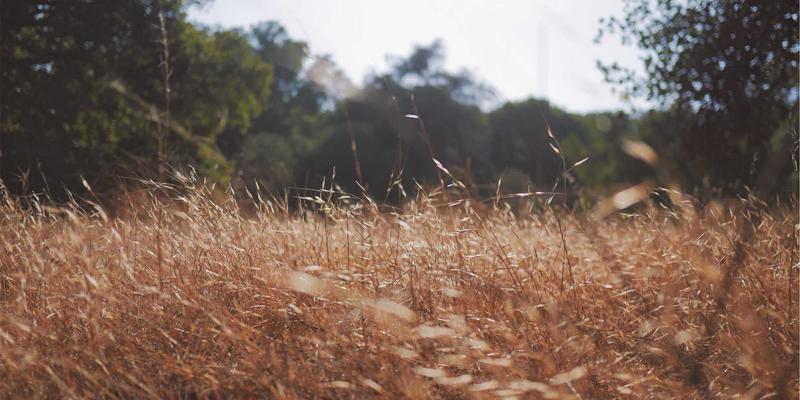 创意设计思维：如何运用设计冲刺解决复杂商业问题