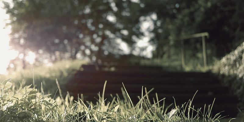 创意设计趋势解码：艺术创作、绿色主题与平面设计的未来融合