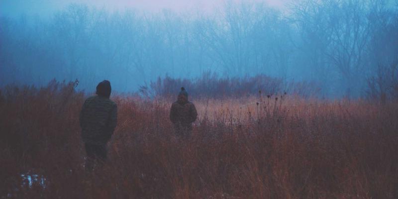 动态品牌识别系统：平面设计与插画如何重塑数字时代的创意设计