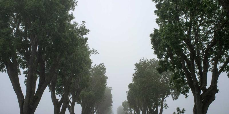 平面设计与艺术创作的交汇：用插画思维将复杂数据转化为视觉故事