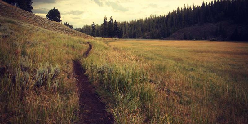 当手工艺遇见AI：生成式人工智能如何重塑视觉艺术与插画创作