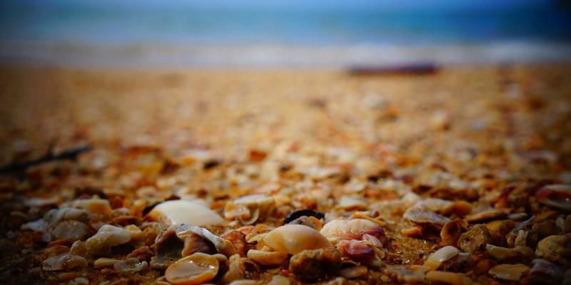 手工艺与插画如何重塑品牌视觉：创意设计思维在平面设计中的深度应用