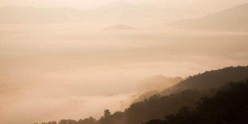 手工艺与插画的艺术革命：包容性设计原则如何重塑艺术创作