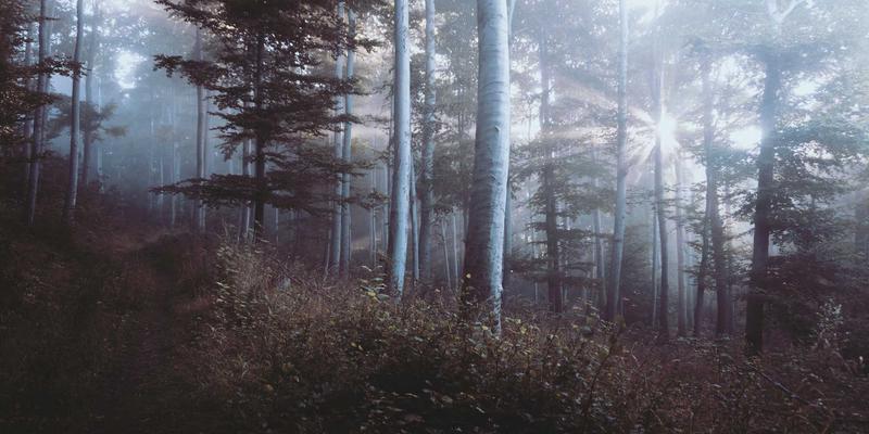 插画与艺术创作如何重塑现代创意包装设计