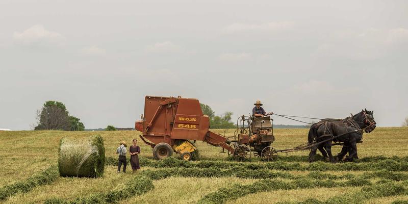 数据可视化中的创意叙事：当艺术创作与平面设计赋予绿色主题生命