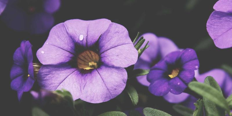 数据可视化艺术：当插画与手工艺赋予冰冷数据叙事温度