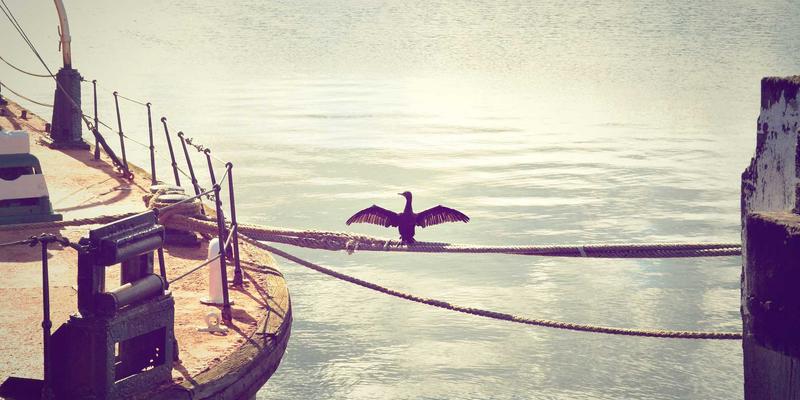 服务设计蓝图：用系统性创意规划无缝的用户旅程