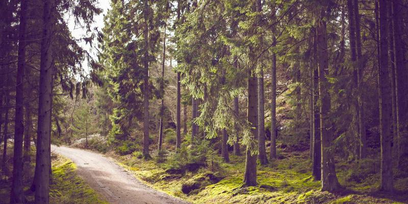 模块化与可定制设计：融合创意设计与手工艺的复古风格新浪潮