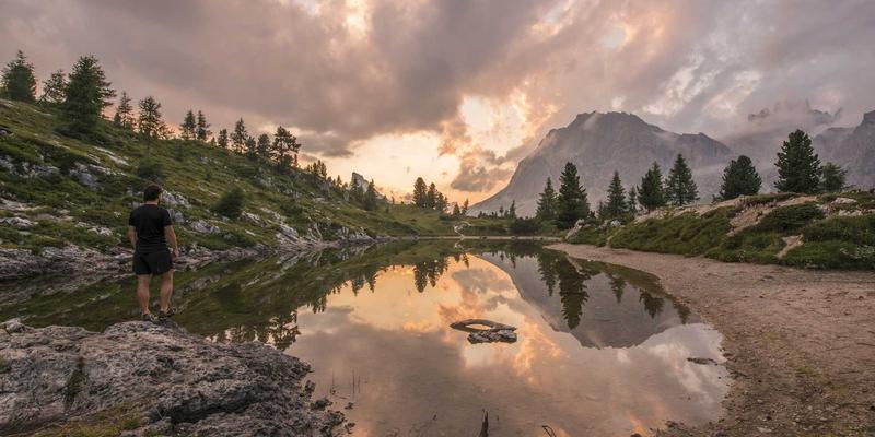 沉浸式体验设计：如何通过绿色主题与艺术创作打造多感官创意空间