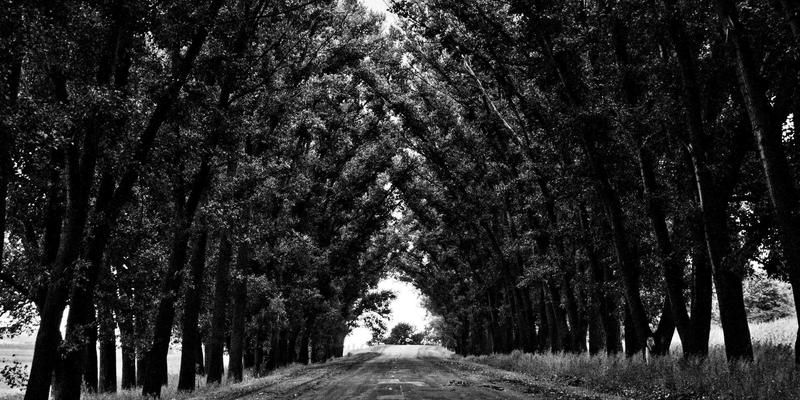 生成式艺术：当算法与AI成为创意设计与绿色主题的革新伙伴