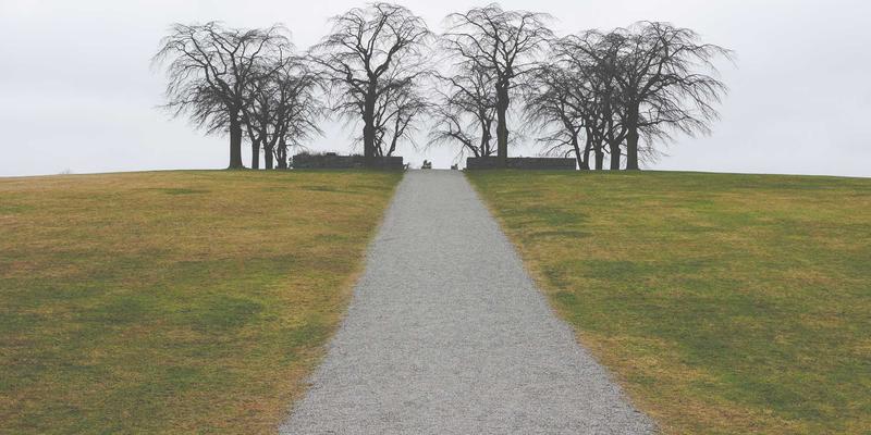 生成式设计工具：重塑创意设计与视觉艺术，赋能绿色主题设计新浪潮
